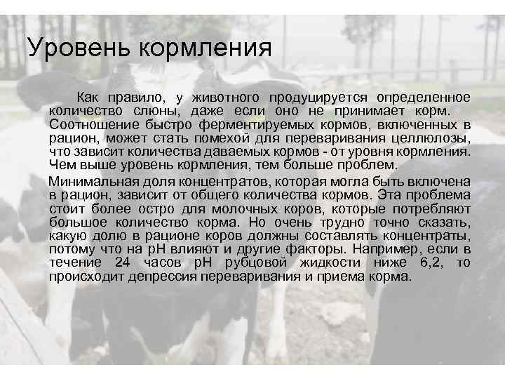 Уровень кормления Как правило, у животного продуцируется определенное количество слюны, даже если оно не