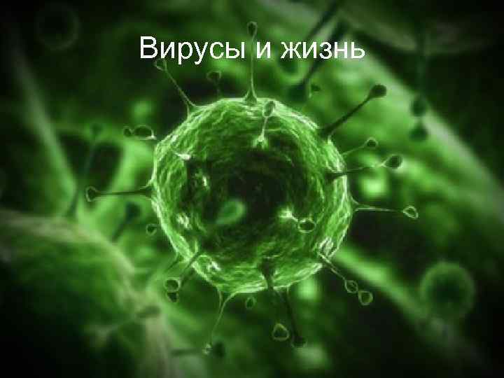 Вирусы и жизнь 