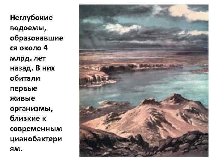 Неглубокие водоемы, образовавшие ся около 4 млрд. лет назад. В них обитали первые живые