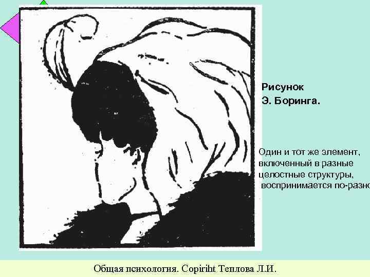 Рисунок Э. Боринга. Один и тот же элемент, включенный в разные целостные структуры, воспринимается