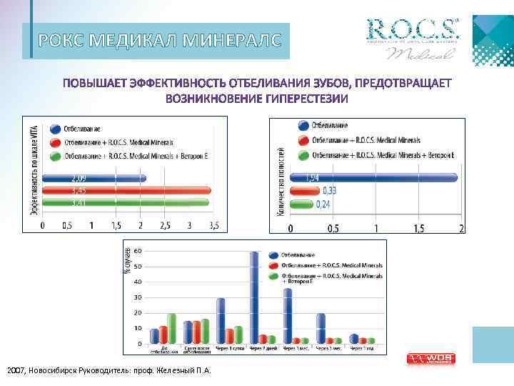 РОКС МЕДИКАЛ МИНЕРАЛС 2007, Новосибирск Руководитель: проф. Железный П. А. 