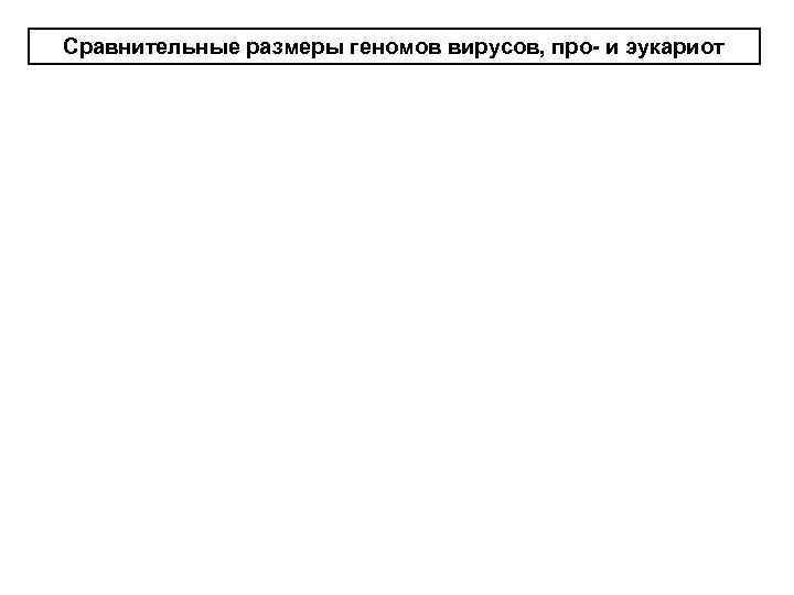 Сравнительные размеры геномов вирусов, про- и эукариот 