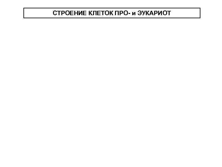 СТРОЕНИЕ КЛЕТОК ПРО- и ЭУКАРИОТ 