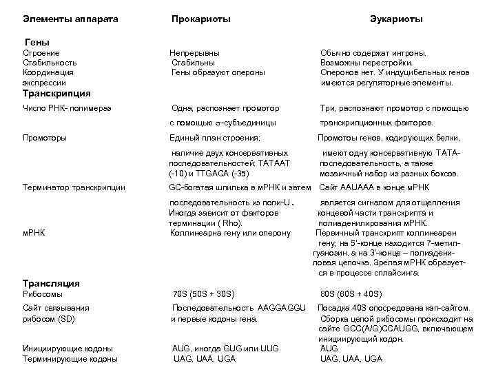 Особенности трансляции у эукариот. Транскрипция у прокариот и эукариот таблица. Сравнительная таблица транскрипции у прокариот и эукариот. Сходства транскрипции у прокариот и эукариот. Сходства и различия транскрипции генов прокариот и эукариот.