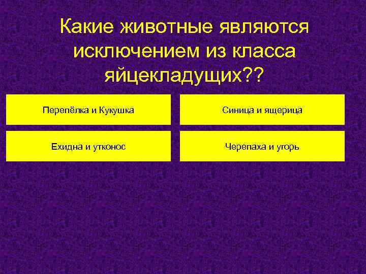 Какие животные являются исключением из класса яйцекладущих? ? Перепёлка и Кукушка Синица и ящерица
