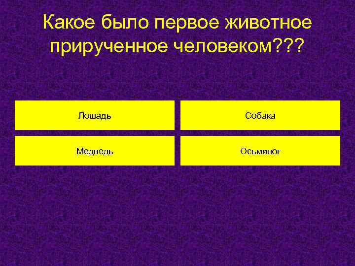 Какое было первое животное прирученное человеком? ? ? Лошадь Собака Медведь Осьминог 