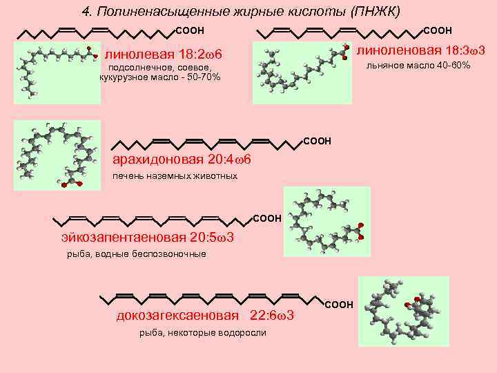 4. Полиненасыщенные жирные кислоты (ПНЖК) СООН линоленовая 18: 3 3 линолевая 18: 2 6