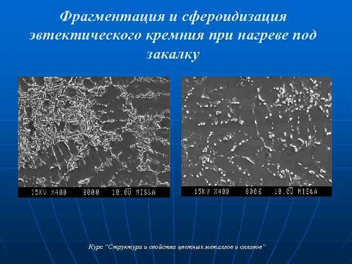 Фрагментация и сфероидизация эвтектического кремния при нагреве под закалку Курс “Структура и свойства цветных
