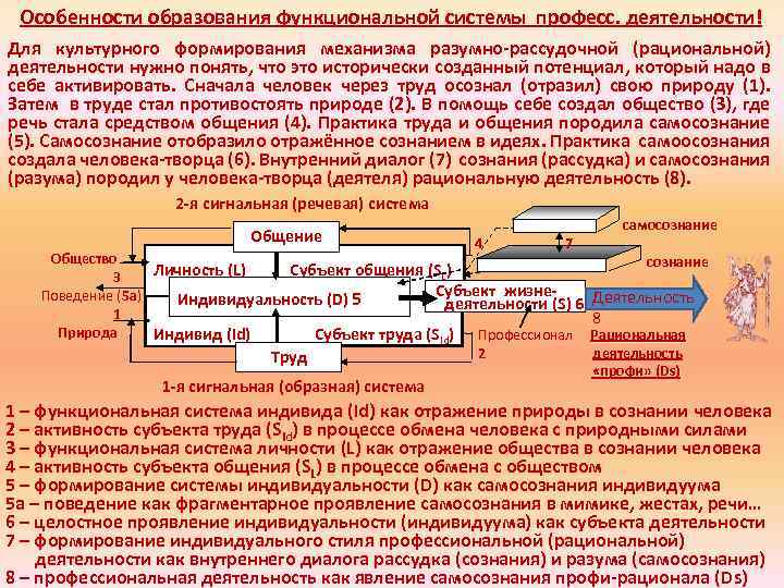 Особенности образования функциональной системы професс. деятельности! Для культурного формирования механизма разумно-рассудочной (рациональной) деятельности нужно