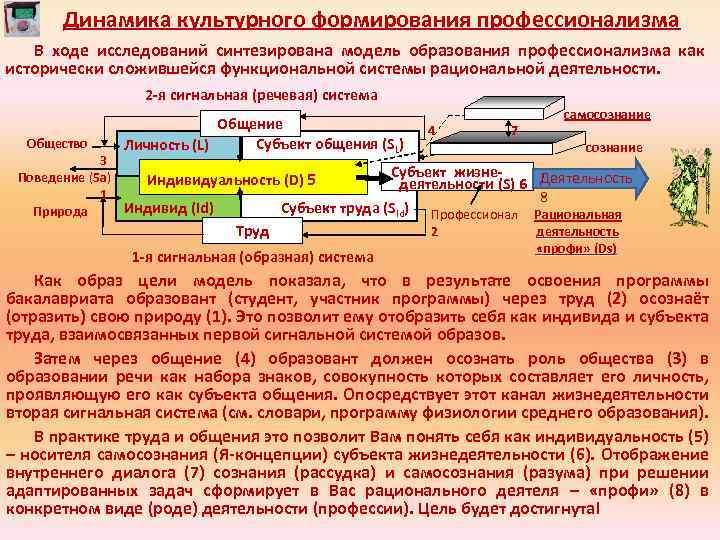 Динамика культурного формирования профессионализма В ходе исследований синтезирована модель образования профессионализма как исторически сложившейся