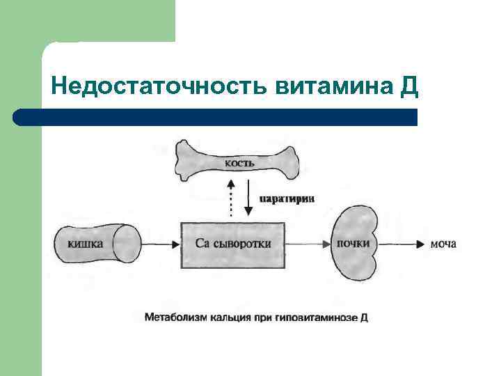 Недостаточность витамина Д 