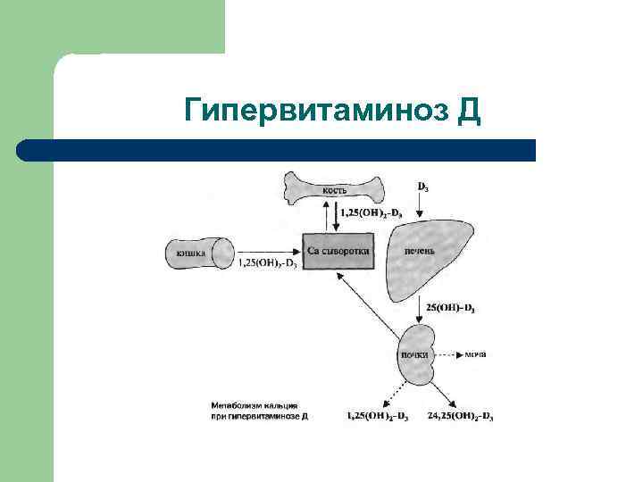 Гипервитаминоз Д 