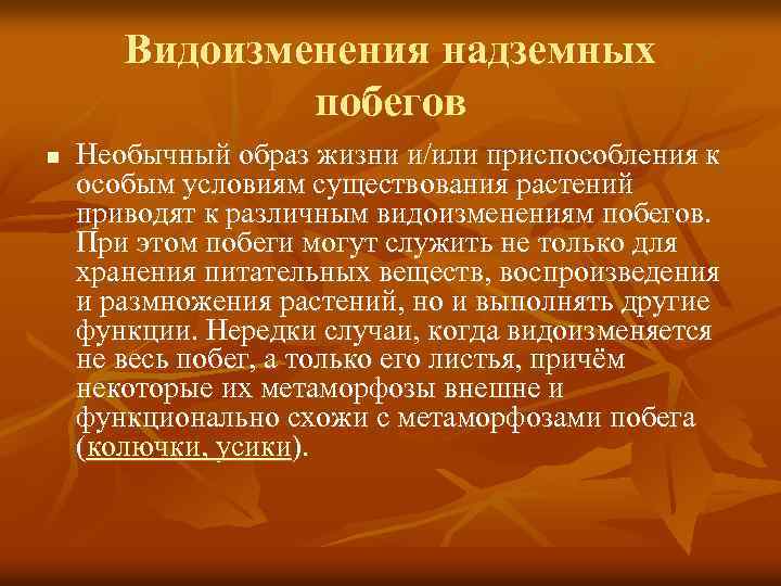 Видоизменения надземных побегов n Необычный образ жизни и/или приспособления к особым условиям существования растений