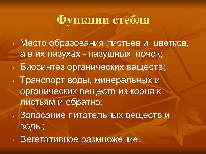 Перечислите функции стебля