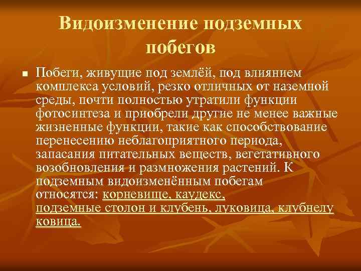 Видоизменение подземных побегов n Побеги, живущие под землёй, под влиянием комплекса условий, резко отличных