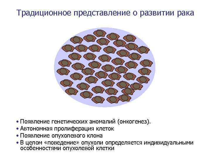 Традиционное представление о развитии рака • Появление генетических аномалий (онкогенез). • Автономная пролиферация клеток