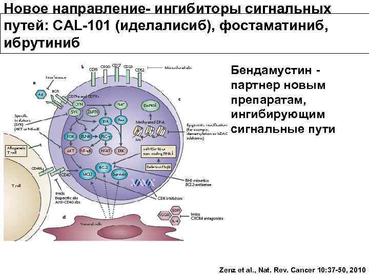 Схема ритуксимаб бендамустин