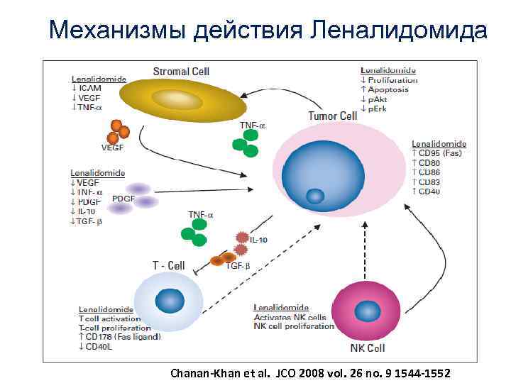 Механизмы действия Леналидомида Chanan-Khan et al. JCO 2008 vol. 26 no. 9 1544 -1552