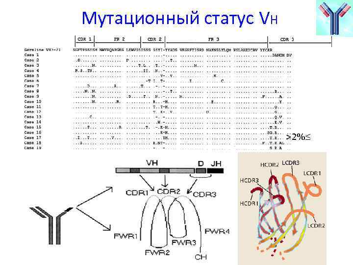 Мутационный статус VH >2%≤ 