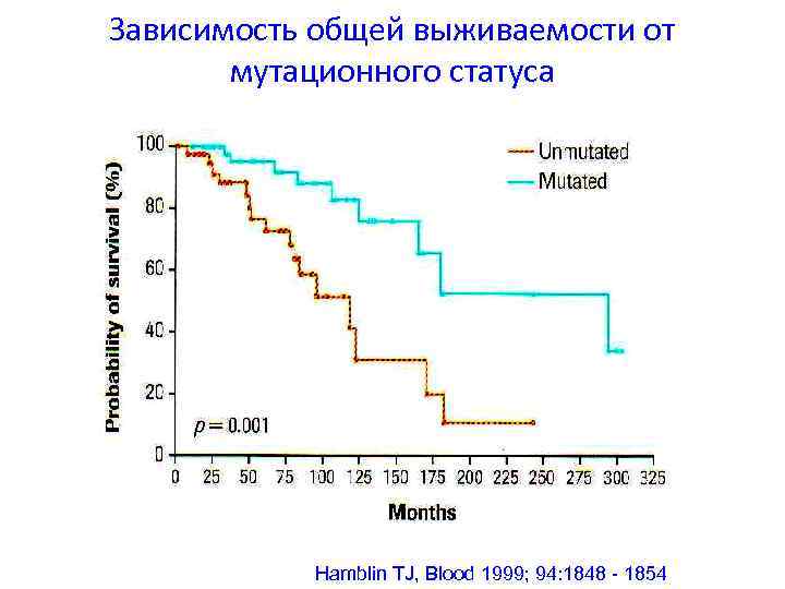 Зависимость общей выживаемости от мутационного статуса Hamblin TJ, Blood 1999; 94: 1848 - 1854