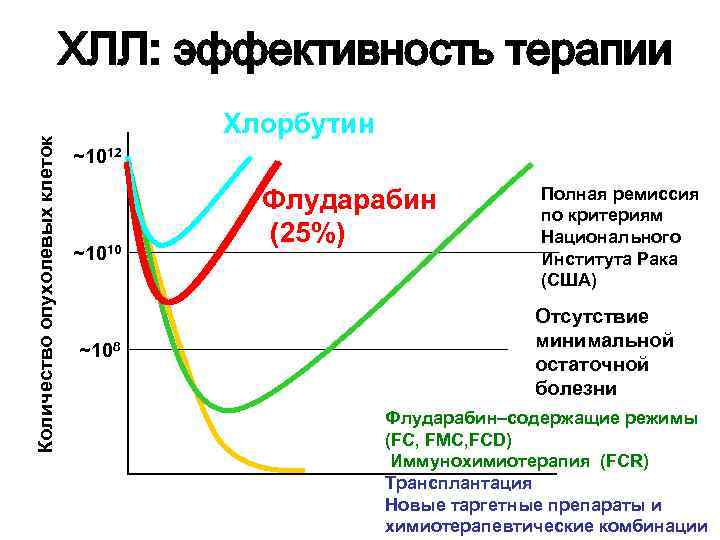 Количество опухолевых клеток ХЛЛ: эффективность терапии Хлорбутин ~1012 ~1010 ~108 Флударабин (25%) Полная ремиссия