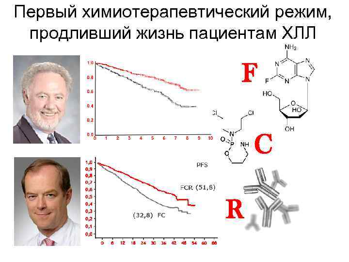 Первый химиотерапевтический режим, продливший жизнь пациентам ХЛЛ F C CLL 8 R 