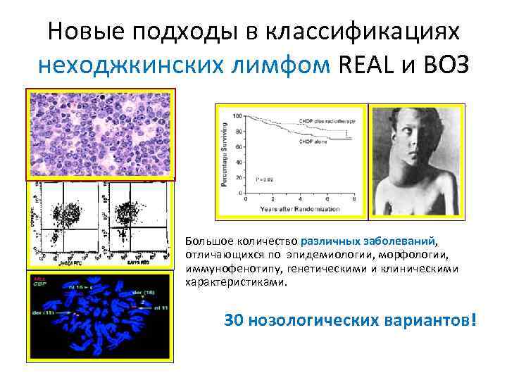 Морфологическая картина и иммунофенотип