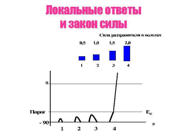 Локальные ответы и закон силы 