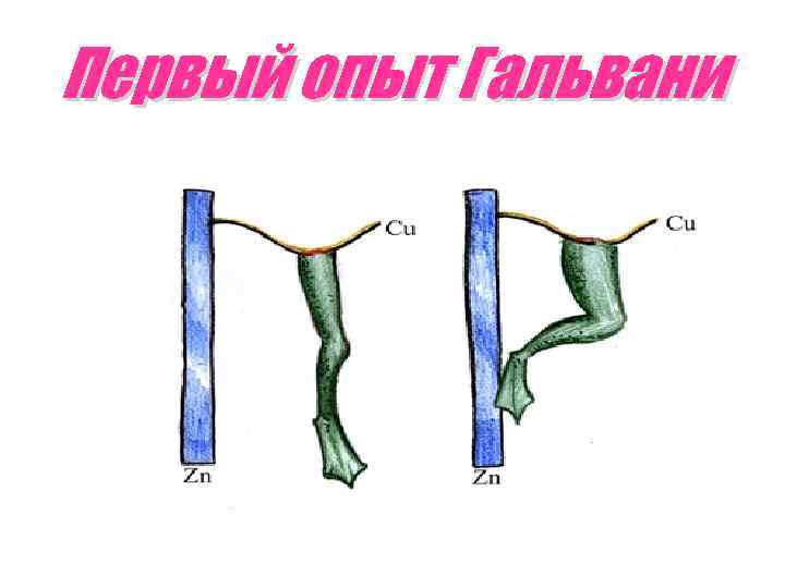 Первый опыт Гальвани 