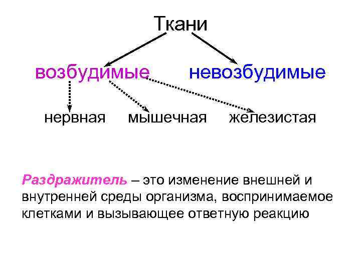 Ткани возбудимые невозбудимые нервная мышечная железистая Раздражитель – это изменение внешней и внутренней среды