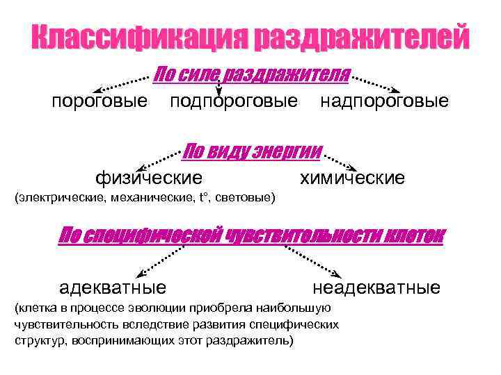 Классификация раздражителей По силе раздражителя пороговые подпороговые надпороговые По виду энергии физические химические (электрические,