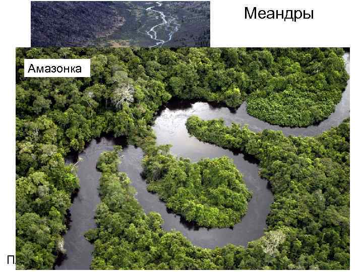 Меандры Амазонка Плато Укок, Алтай 