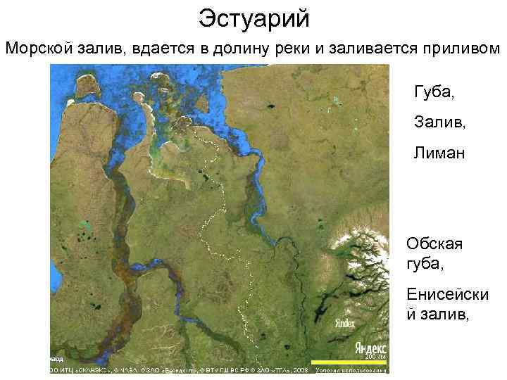 Обская губа фото на карте