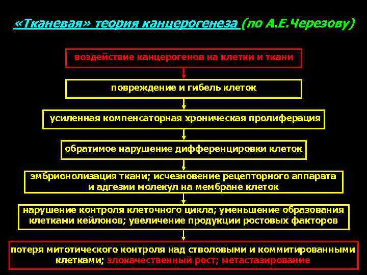 Химический канцерогенез презентация