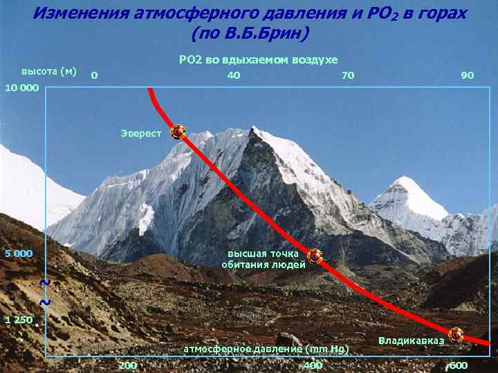 Изменения атмосферного давления и РО 2 в горах (по В. Б. Брин) высота (м)