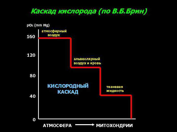 Каскад кислорода (по В. Б. Брин) р. О 2 (mm Hg) 160 атмосферный воздух