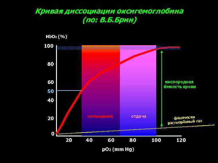 Кривая диссоциации оксигемоглобина (по: В. Б. Брин) Hb. O 2 (%) 100 80 60