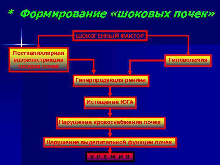 Патфиз. Шоковая почка механизм развития. Формирование шоковой почки. Шоковая почка патогенез. Патогенез шоковых почек патофизиология.