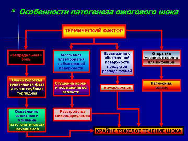 Патогенез септического шока схема