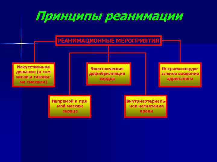 Принципы реанимации РЕАНИМАЦИОННЫЕ МЕРОПРИЯТИЯ Искусственное дыхание (в том числе и газовыми смесями) Электрическая дефибрилляция