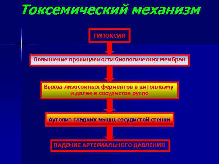 Токсемический механизм ГИПОКСИЯ Повышение проницаемости биологических мембран Выход лизосомных ферментов в цитоплазму и далее