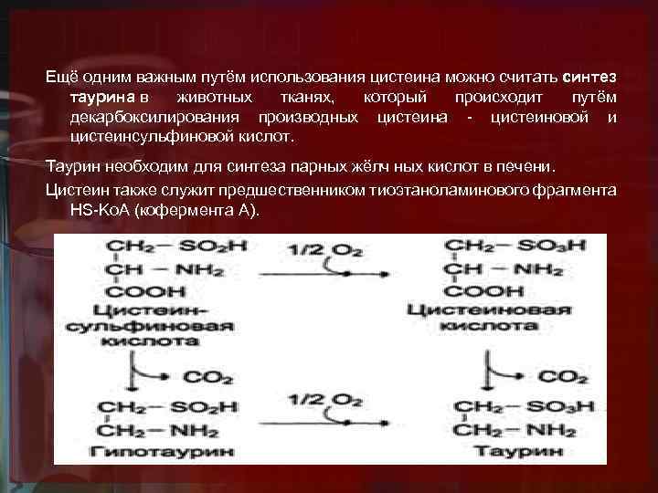 Ещё одним важным путём использования цистеина можно считать синтез таурина в животных тканях, который