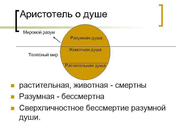 Аристотель о душе Мировой разум Разумная душа Животная душа Телесный мир Растительная душа n