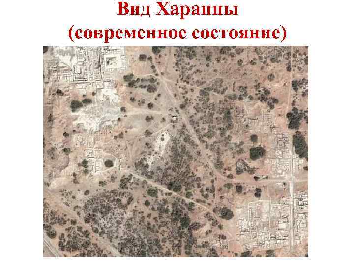 Вид Хараппы (современное состояние) 
