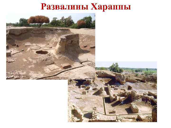 Развалины Хараппы 