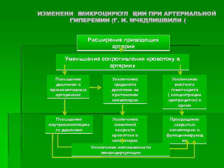 Расширение приводящих артерий Уменьшение сопротивления кровотоку в артериях Повышение давления в прекапиллярных артериолах Увеличение