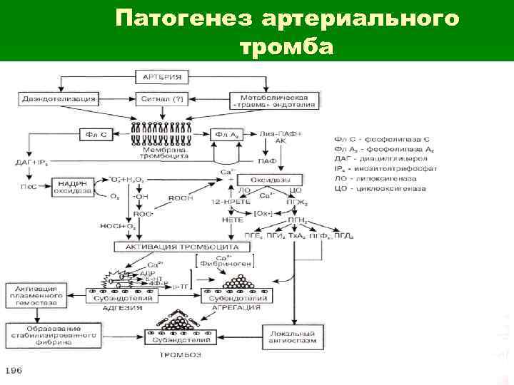 Патогенез артериального тромба 