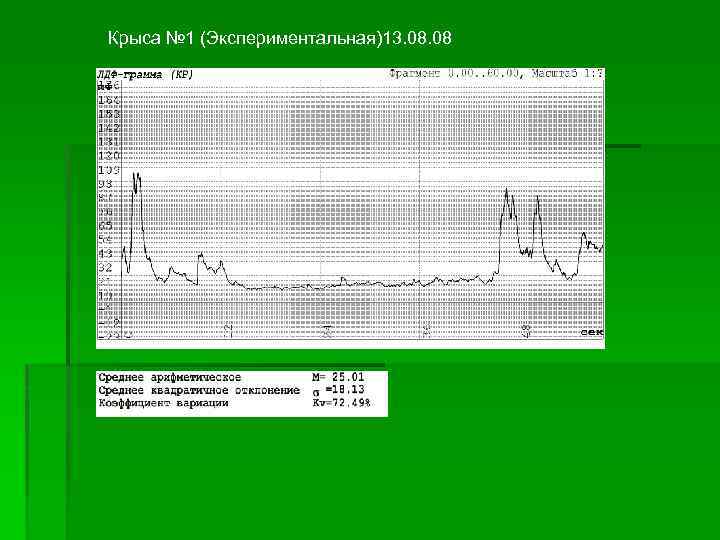 Крыса № 1 (Экспериментальная)13. 08 