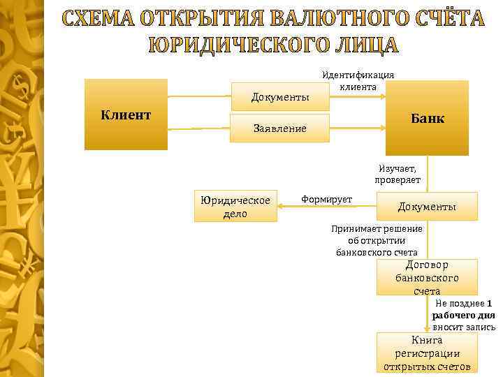 Открытие Юридического Лица Стоимость