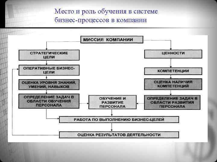 Место и роль обучения в системе бизнес-процессов в компании 